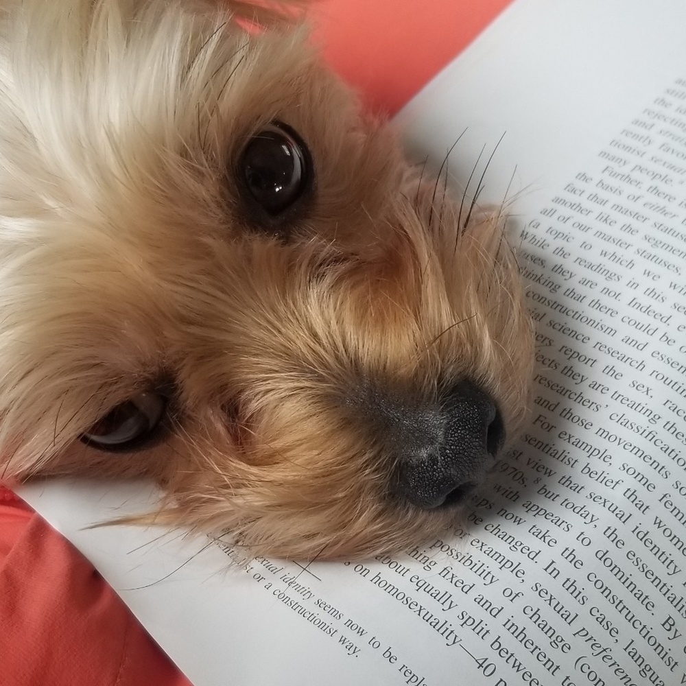 Meet your Posher, Jodi